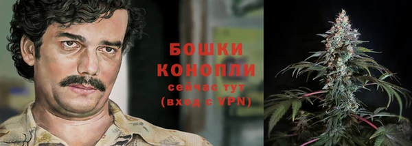 PSILOCYBIN Корсаков