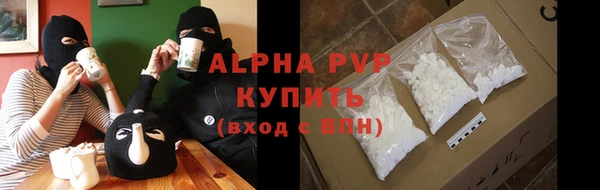 PSILOCYBIN Корсаков