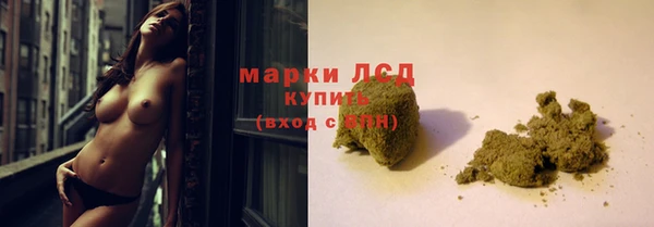 гидропоника Коряжма