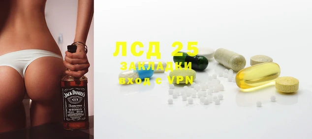 PSILOCYBIN Корсаков