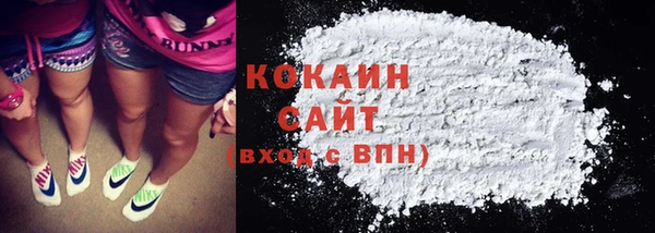 PSILOCYBIN Корсаков