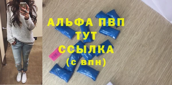 PSILOCYBIN Корсаков
