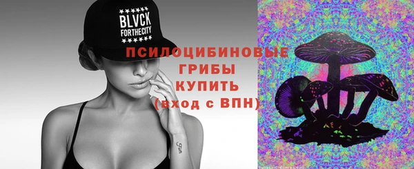 PSILOCYBIN Корсаков