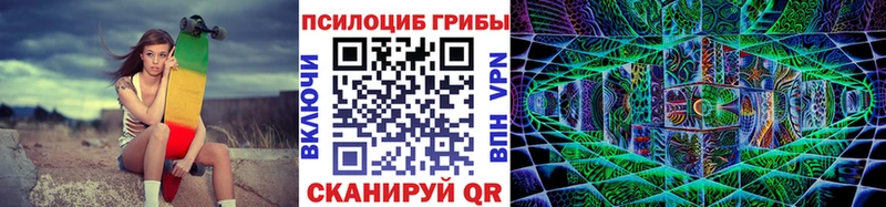 Псилоцибиновые грибы GOLDEN TEACHER  Купить закладки  Нурлат 